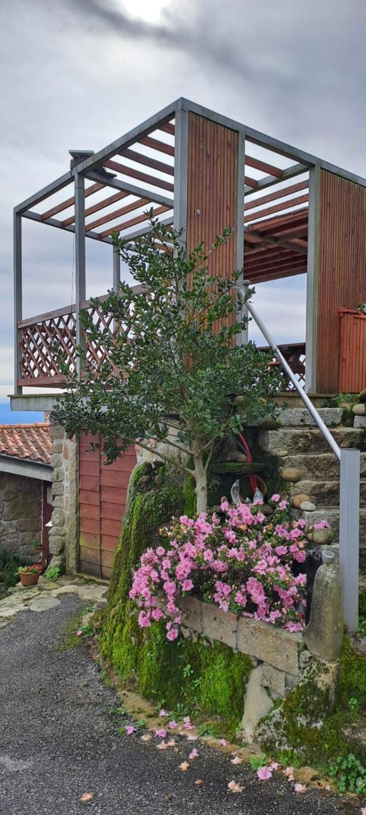 Caramulo - Abrigo Serrano Holiday home *